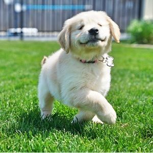 Meet your Posher, Candace